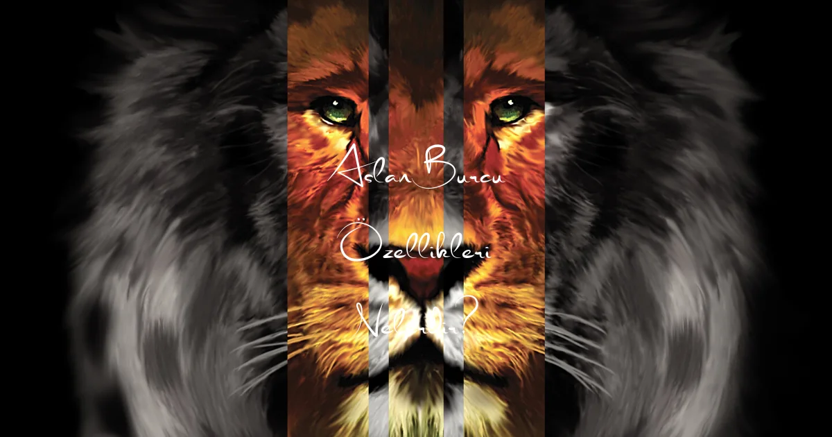 Aslan Burcu Özellikleri Nelerdir?