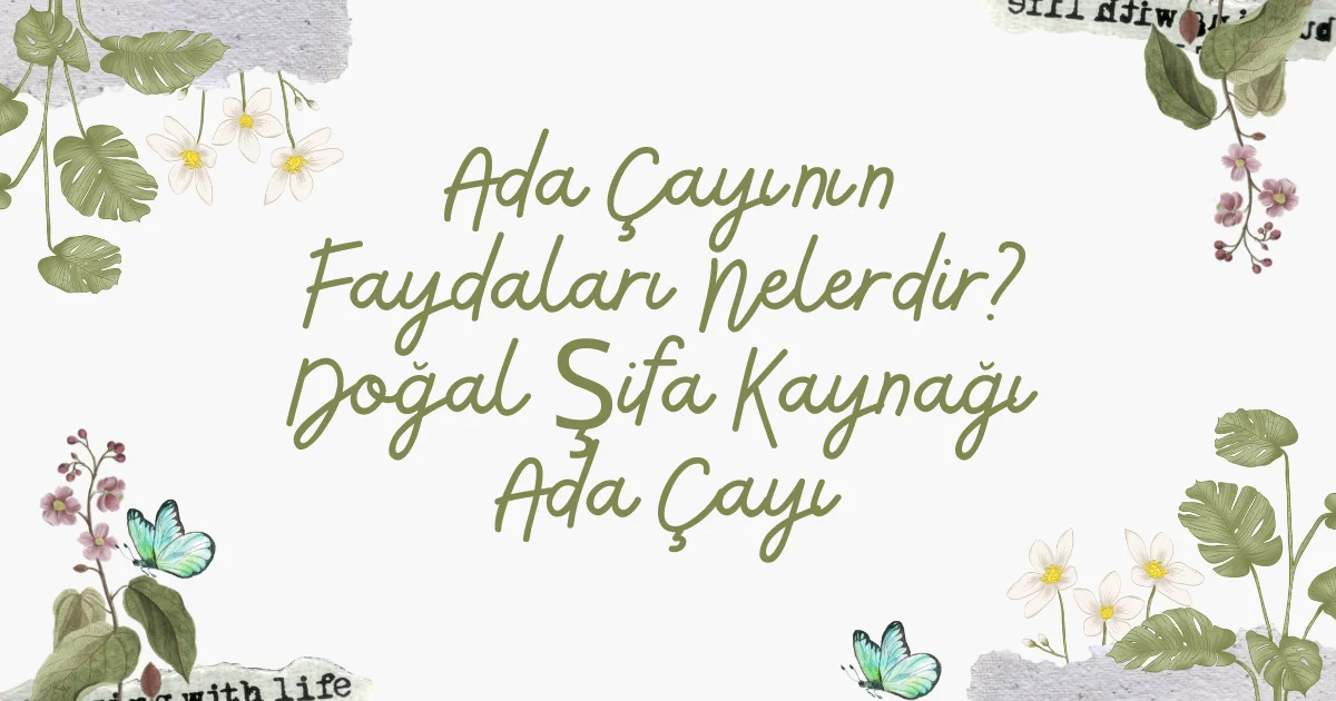 Ada Çayının Faydaları Nelerdir? Doğal Şifa Kaynağı Ada Çayı