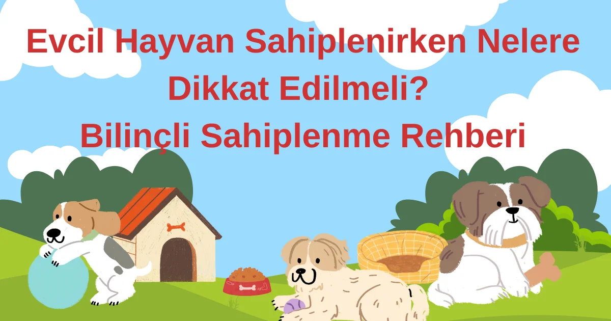 Evcil Hayvan Sahiplenirken Nelere Dikkat Edilmeli? Bilinçli Sahiplenme Rehberi